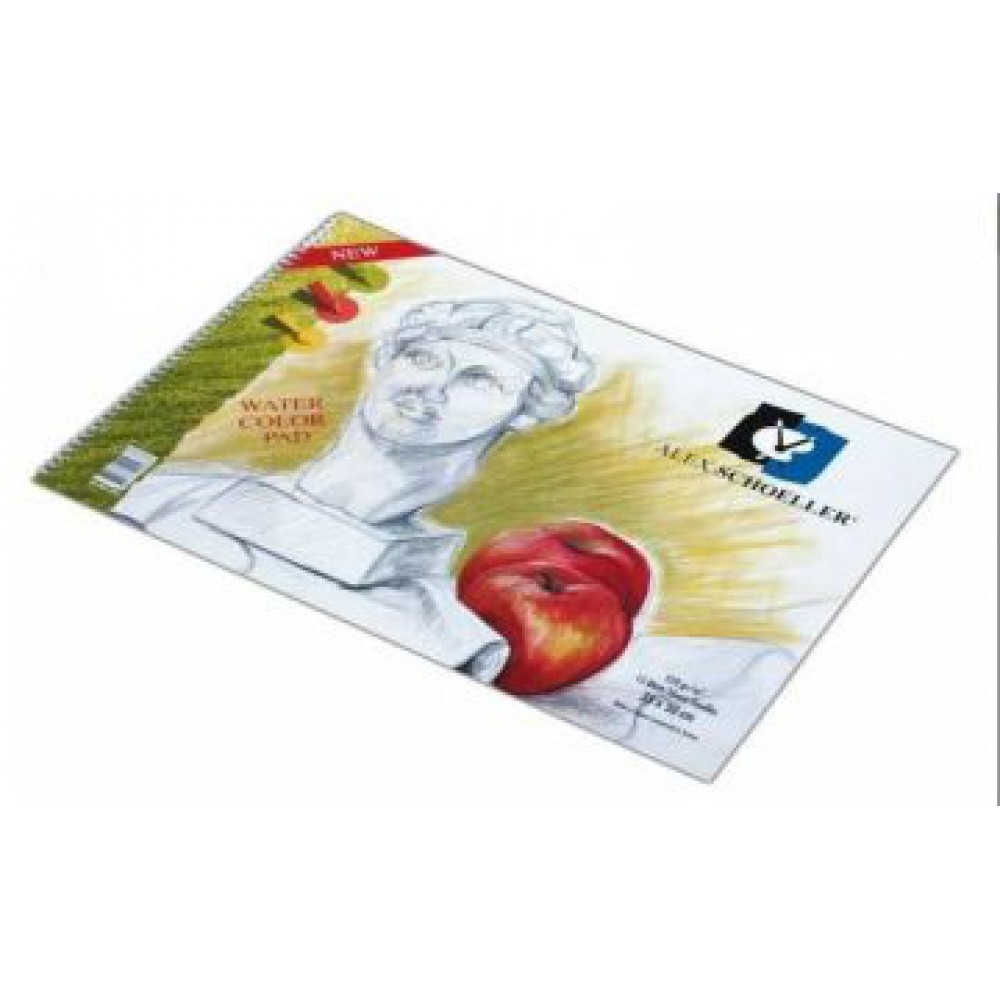 ALEX SCHOLLER 50*70 120GR RESİM DEFTERİ