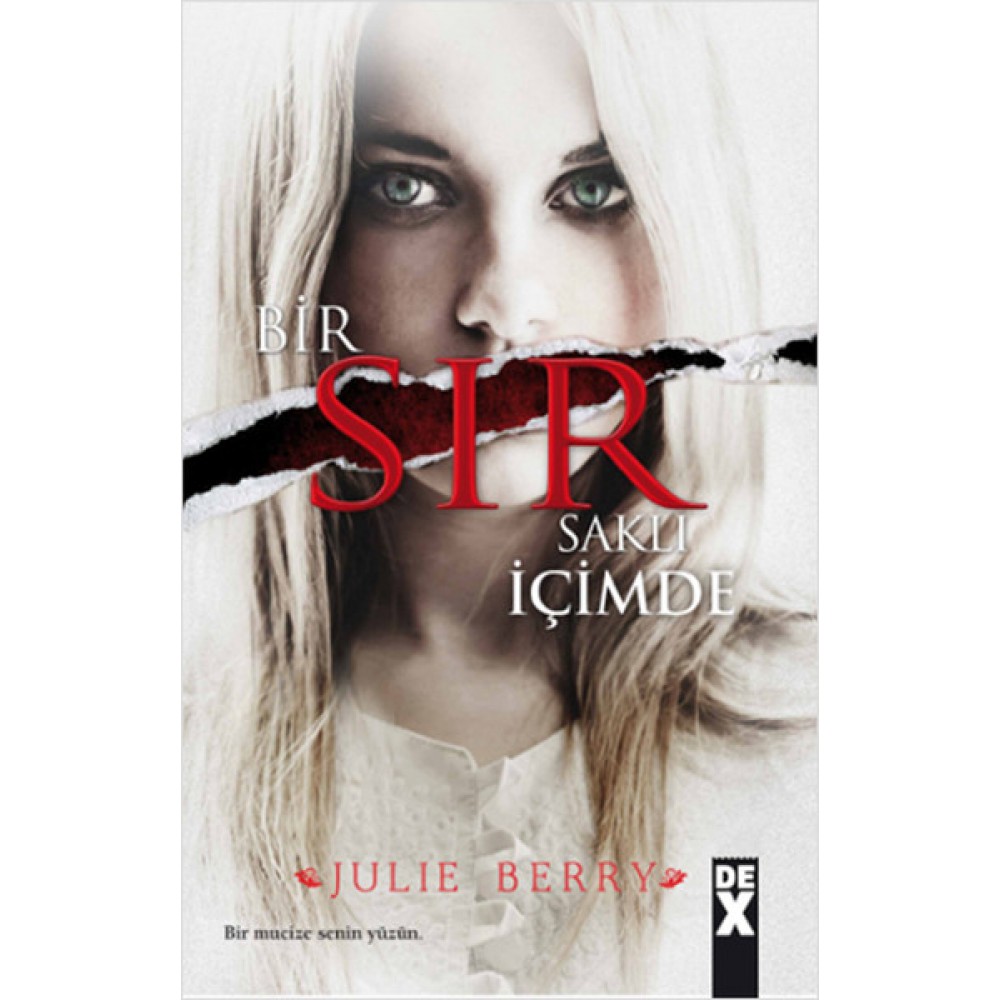 BİR SIR SAKLI İÇİMDE