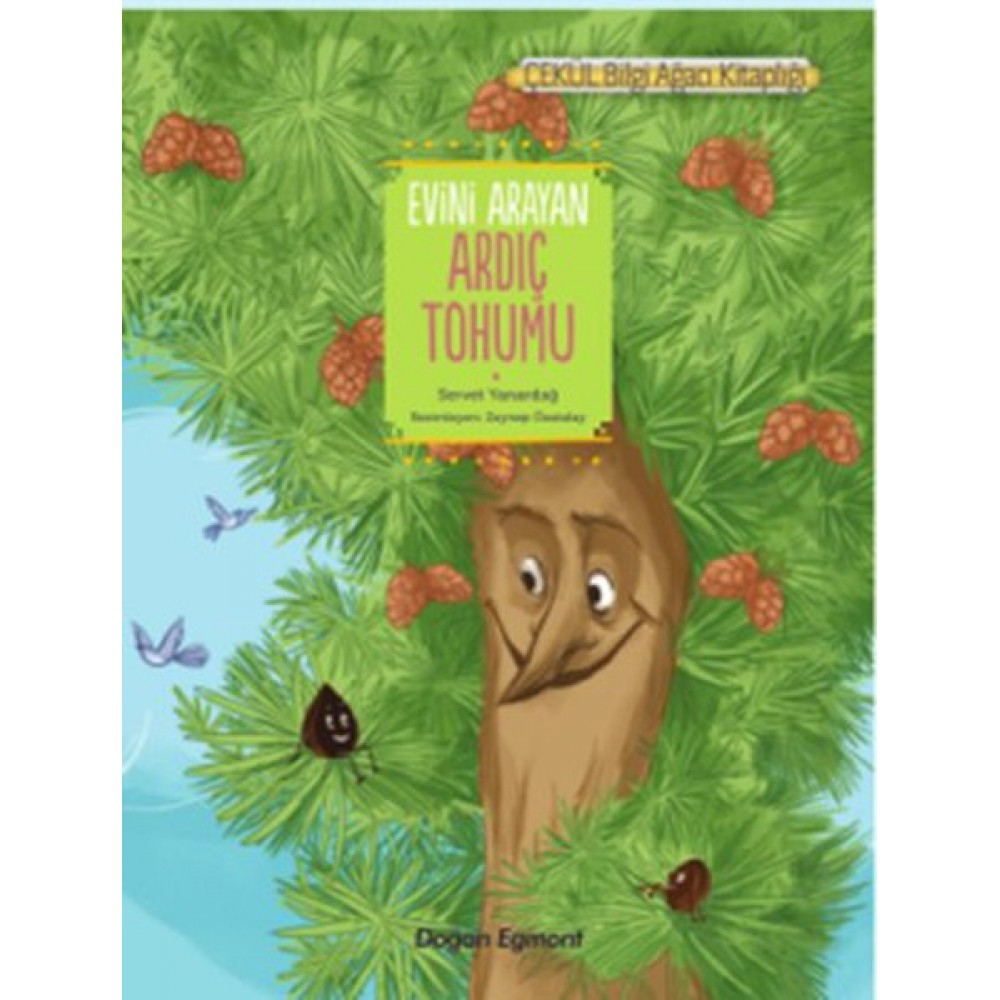 EVİNİ ARAYAN ARDIÇ TOHUMU