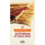 SEVİYORSAN GİT KONUŞ BENCE