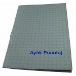 DİLMAN AYLIK PUANTAJ DEFETRİ