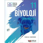 NİTELİK 11.SINIF BİYOLOJİ KA