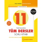 PALME 11. SINIF TÜM DERSLER EŞİT AĞIRLIK SORU KİTABI