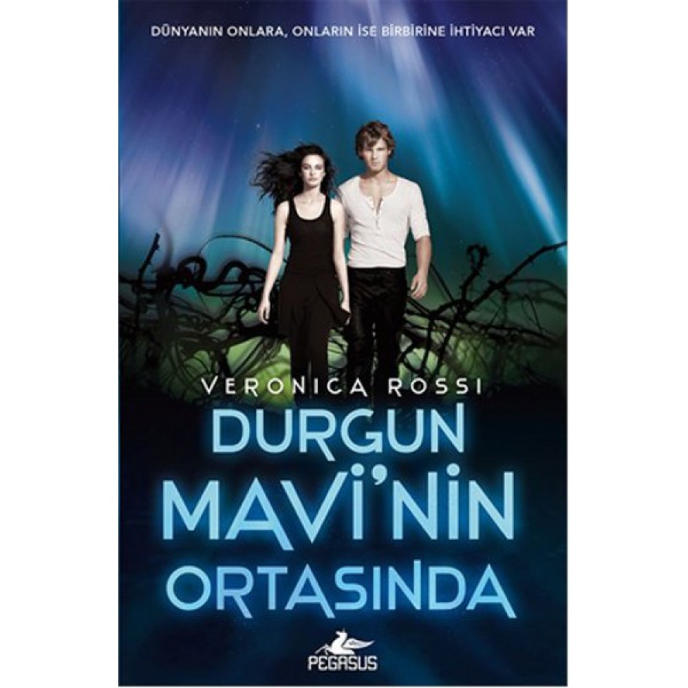 DURGUN MAVİ'NİN ORTASINDA