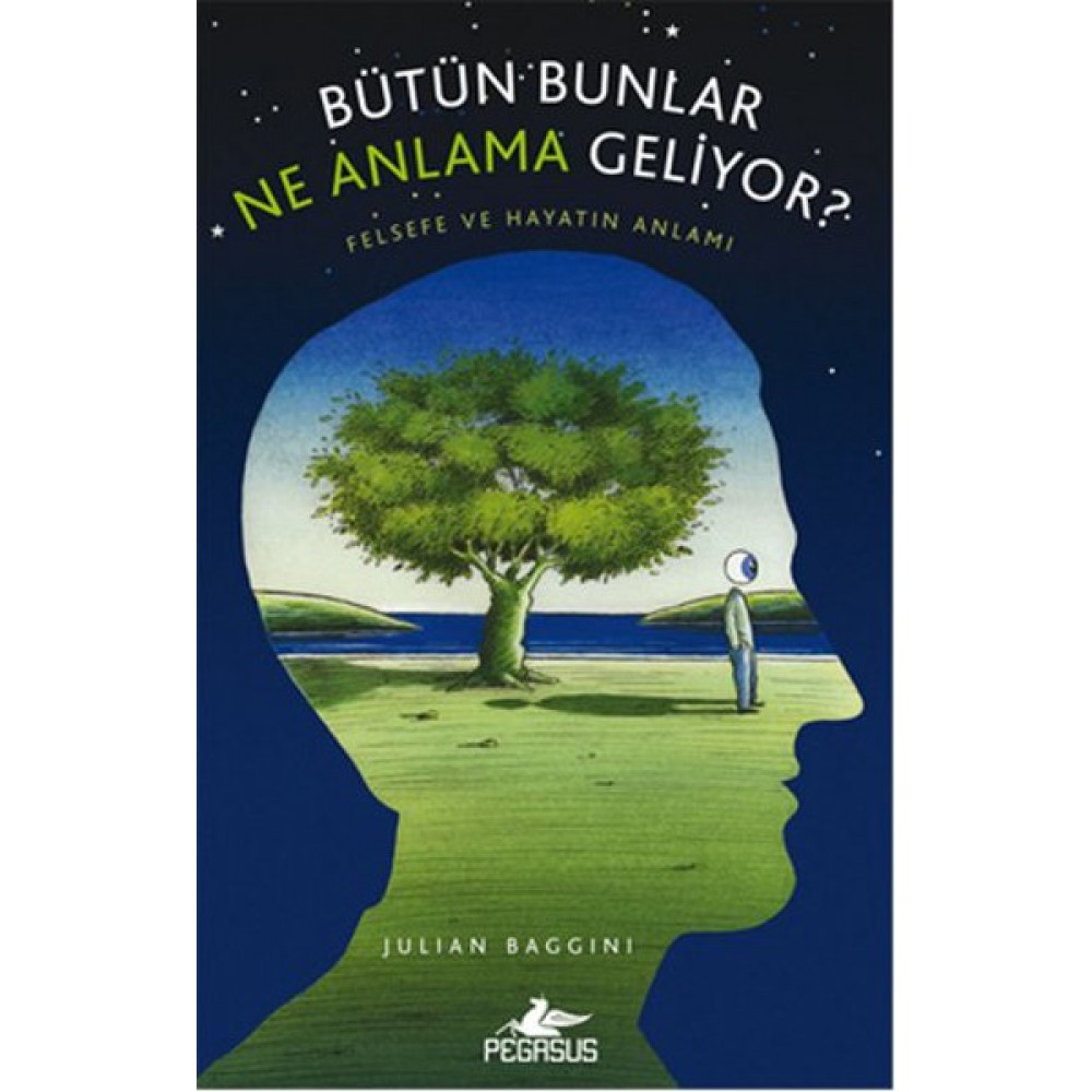 BÜTÜN BUNLAR NE ANLAMA GELİYOR