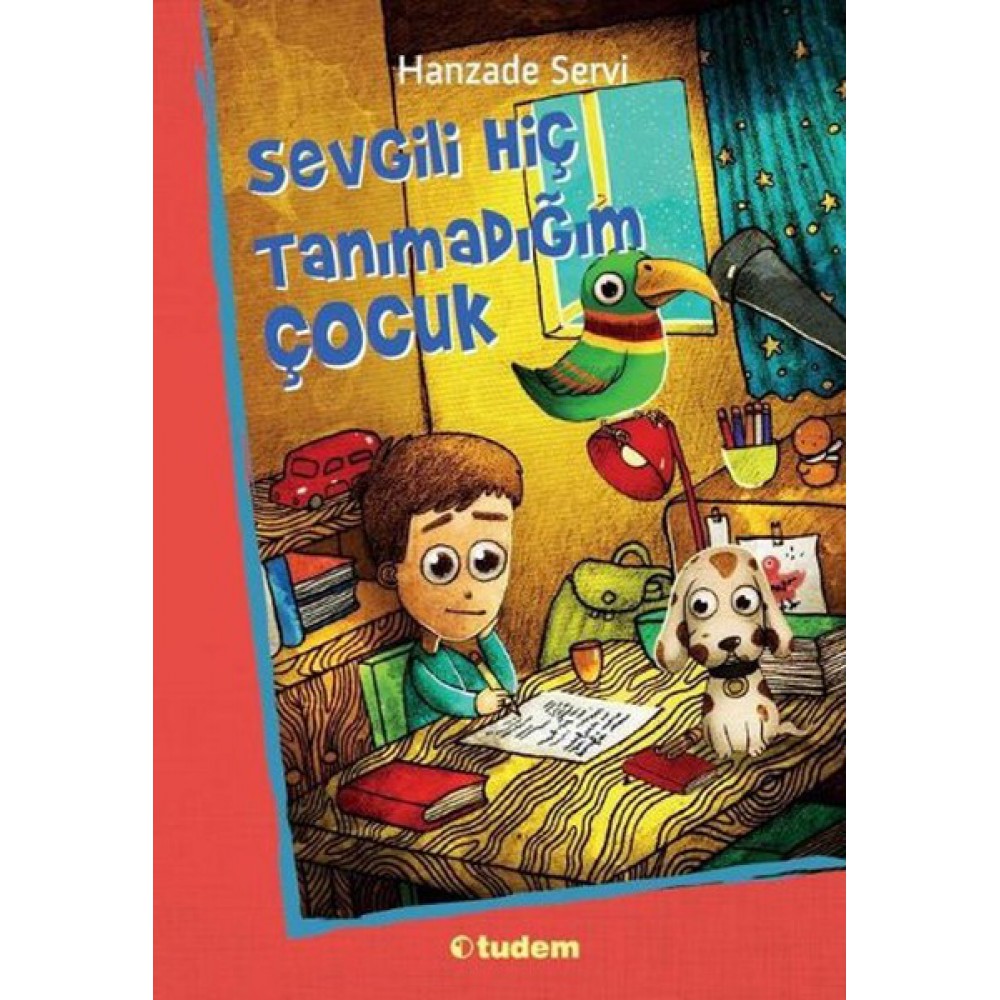 SEVGİLİ HİÇ TANIMADIĞIM ÇOCUK
