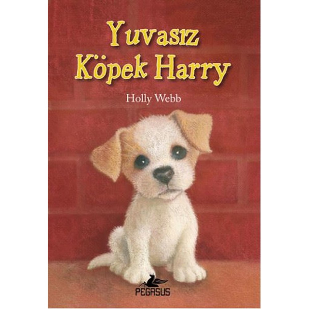 YUVASIZ KÖPEK HARRY